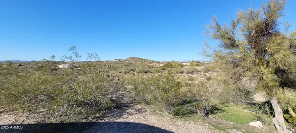 a view of a dry yard with lots of bushes