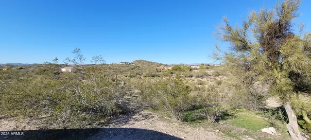 a view of a dry yard with lots of bushes