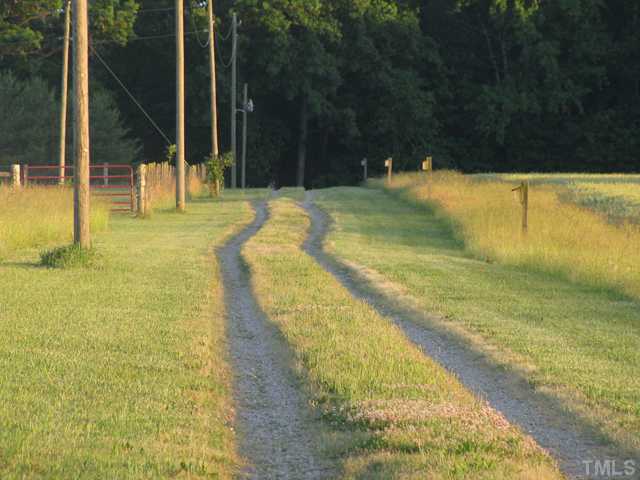 View of driveway going to house.