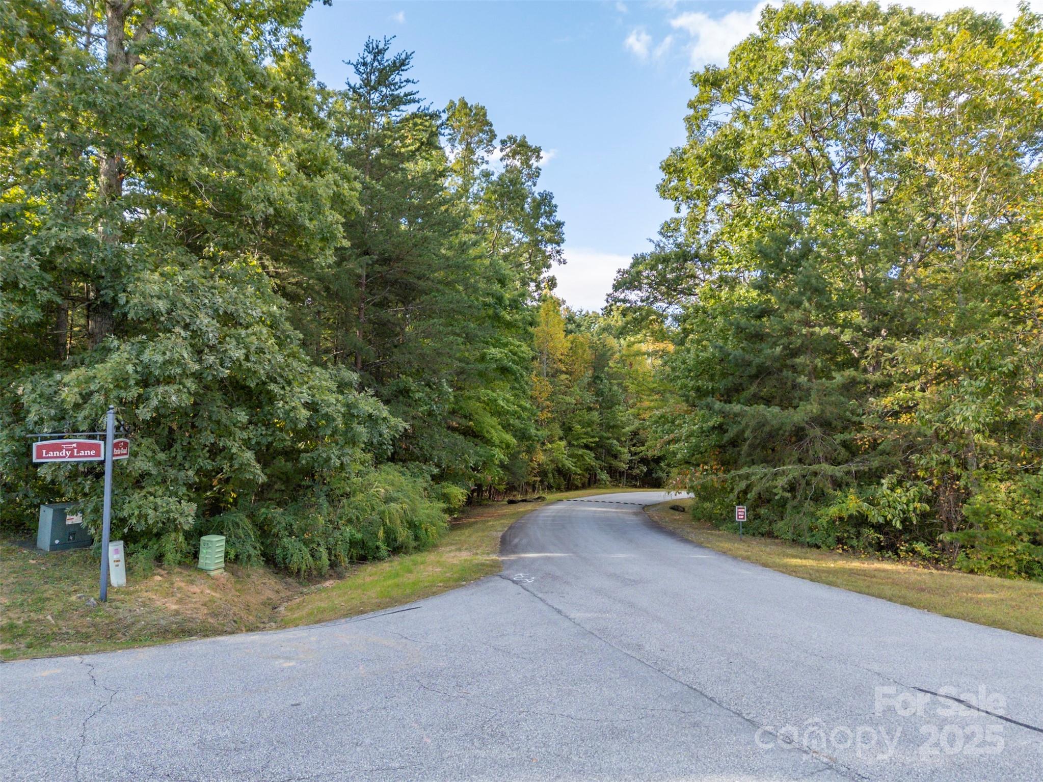 100 Pardo Road Landrum, SC 29356 - Photo 1 of 14 a view of a field with plants and trees