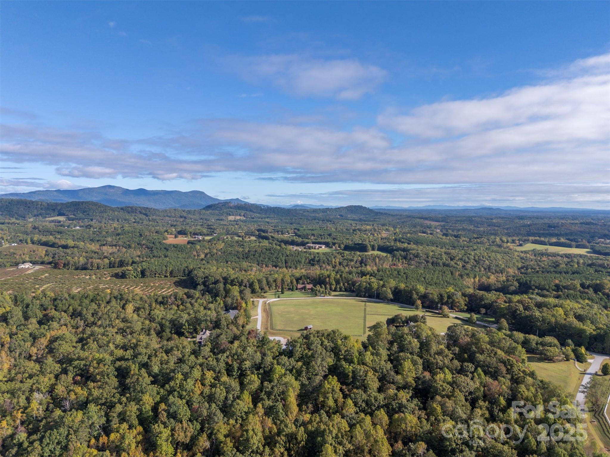 100 Pardo Road Landrum, SC 29356 - Photo 11 of 14 a view of a city with a lake view