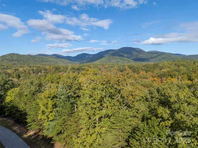 a view of a mountain range with lush green forest