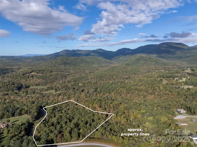 a view of a lot of a green space