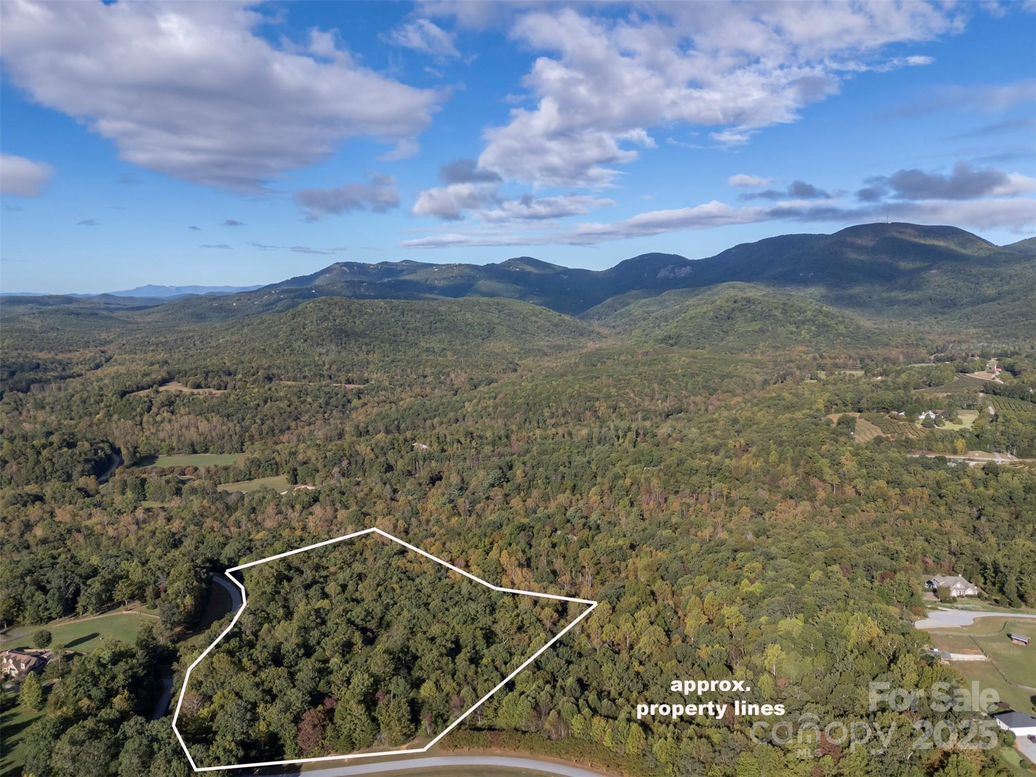 100 Pardo Road Landrum, SC 29356 - Photo 2 of 14 a view of a lot of a green space