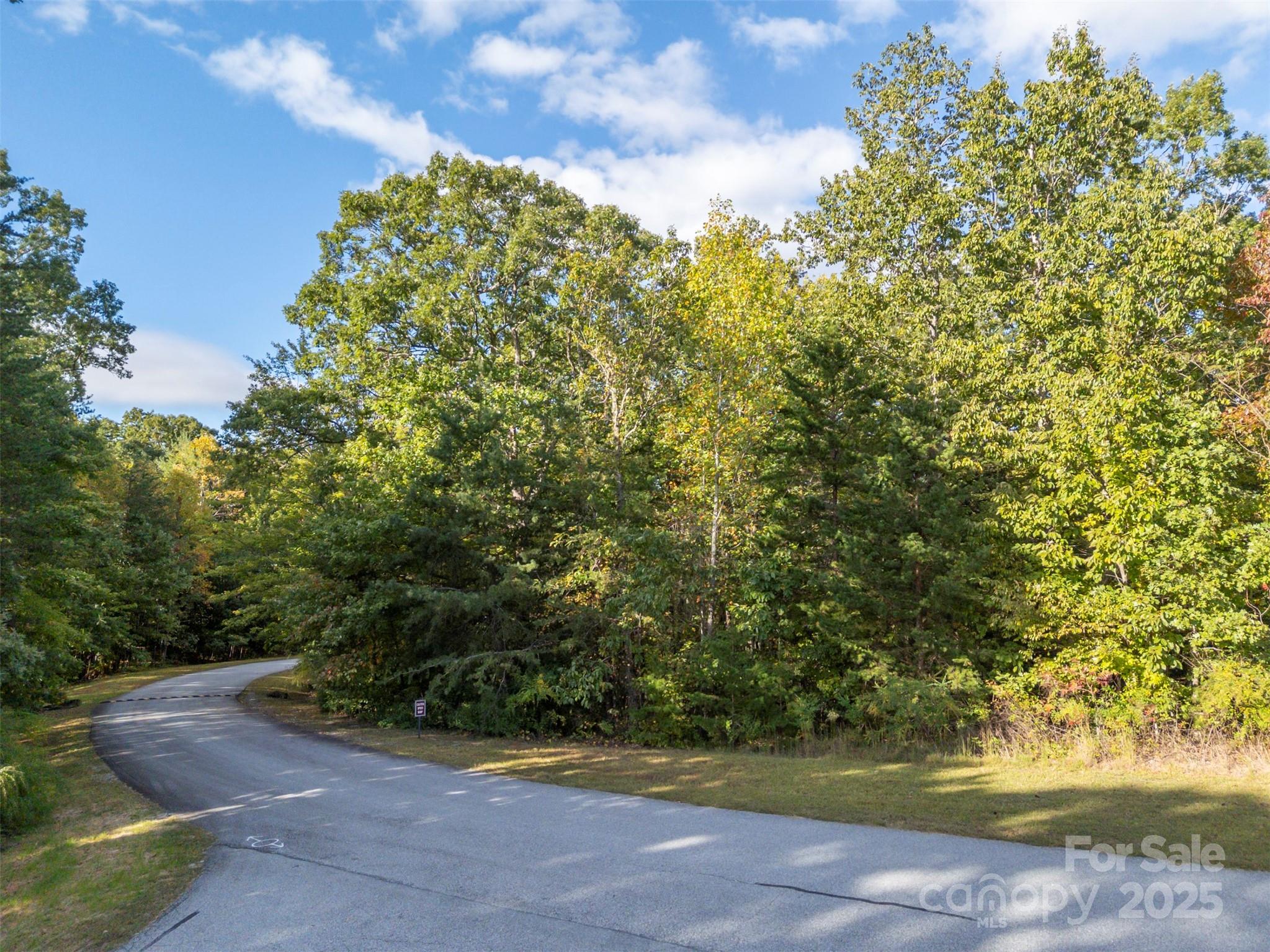 100 Pardo Road Landrum, SC 29356 - Photo 4 of 14 a view of a yard with a tree