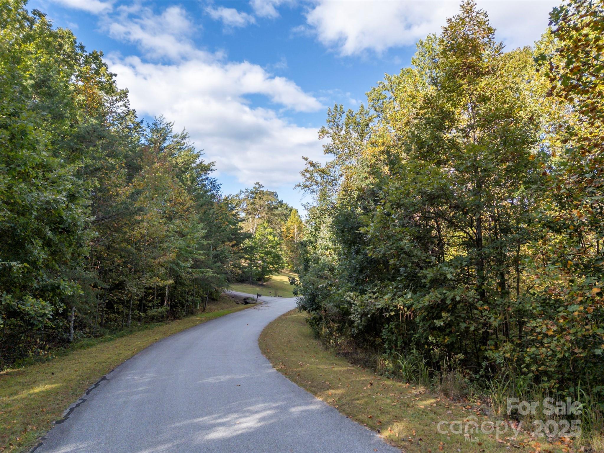 100 Pardo Road Landrum, SC 29356 - Photo 6 of 14 a view of a yard