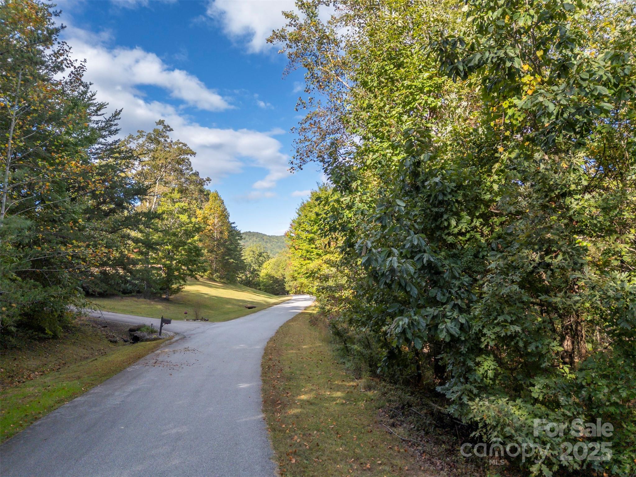 100 Pardo Road Landrum, SC 29356 - Photo 7 of 14 a view of a small yard