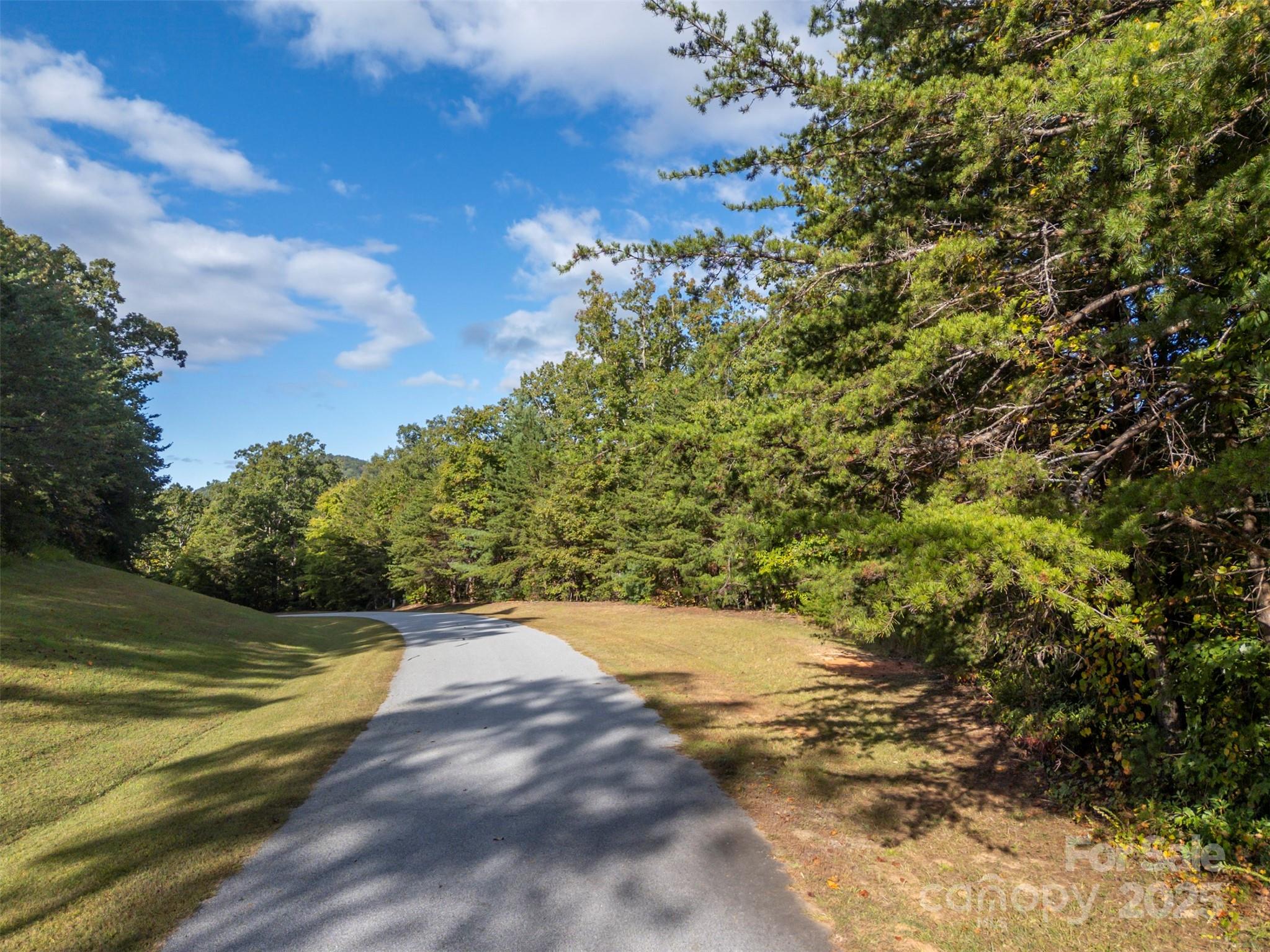 100 Pardo Road Landrum, SC 29356 - Photo 8 of 14 a view of a yard