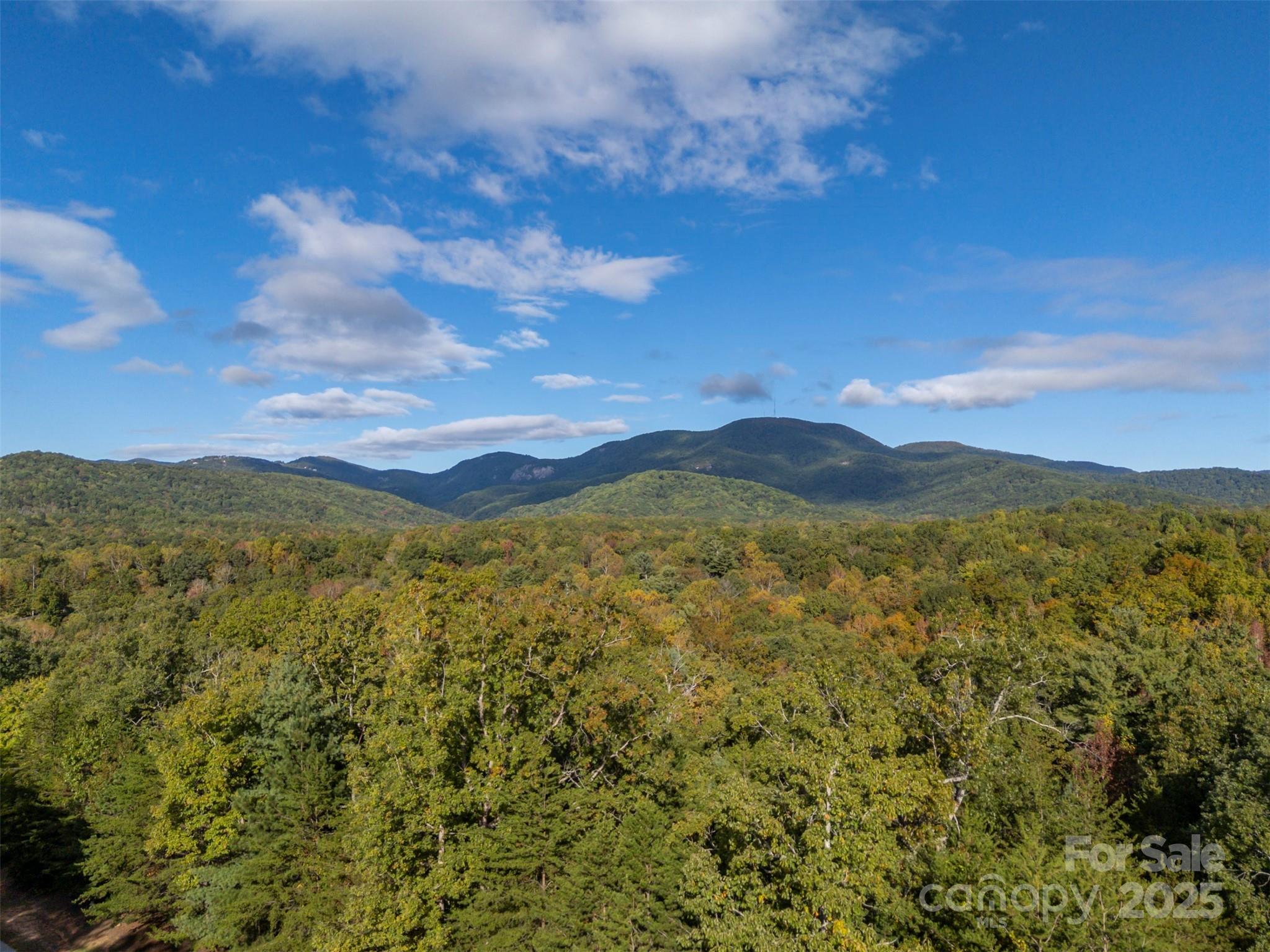 100 Pardo Road Landrum, SC 29356 - Photo 9 of 14 a view of a town with mountains in the background