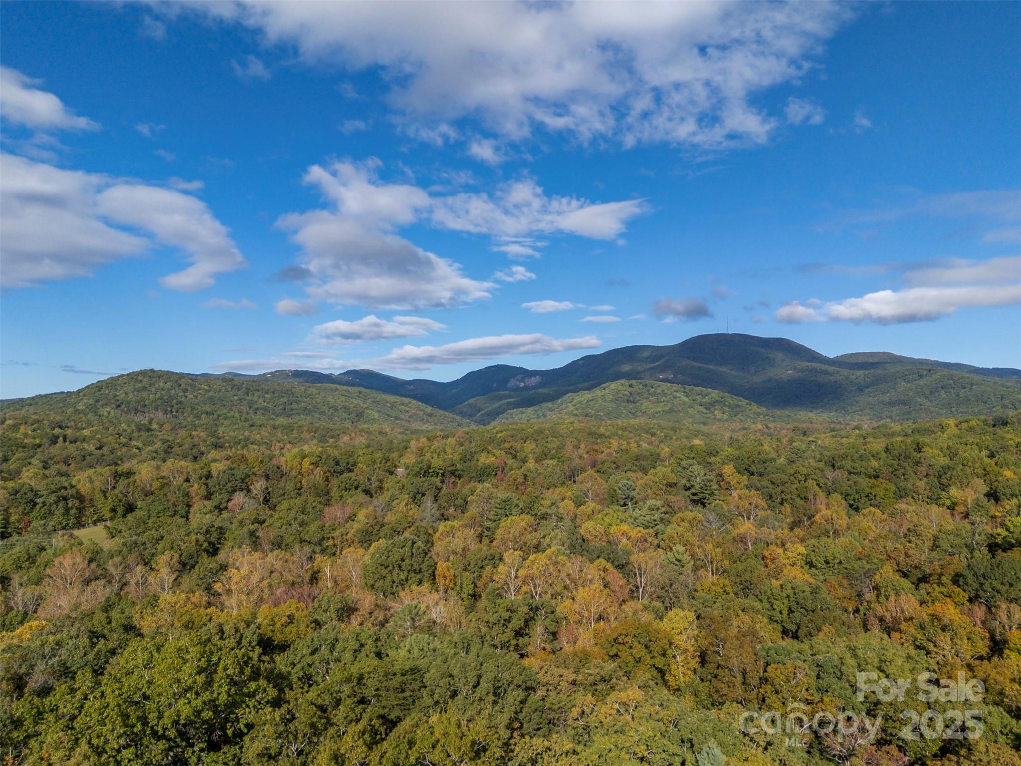 100 Pardo Road Landrum, SC 29356 - Photo 10 of 14 a view of a mountain range with lush green forest
