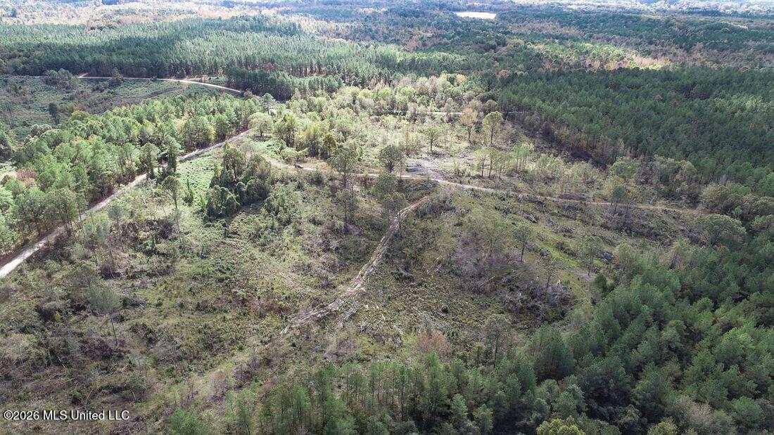 154 County Road Tillatoba, MS 38961 - Photo 7 of 58 4kgrdn45-orig_orig