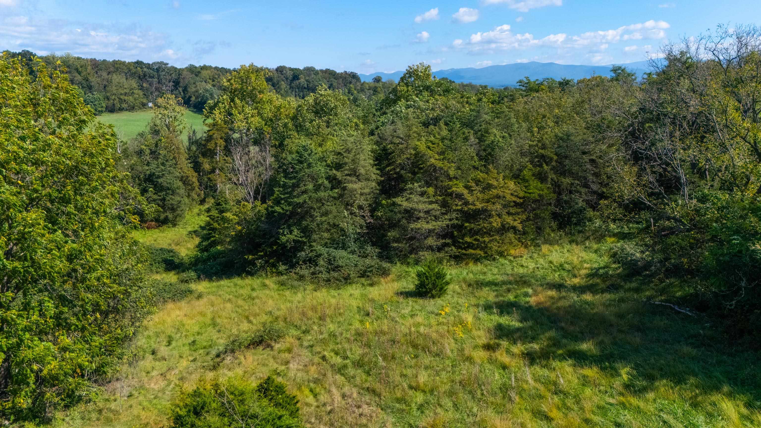 0 East Point Road Elkton, VA 22827 - Photo 56 of 68 Gallery Image 56