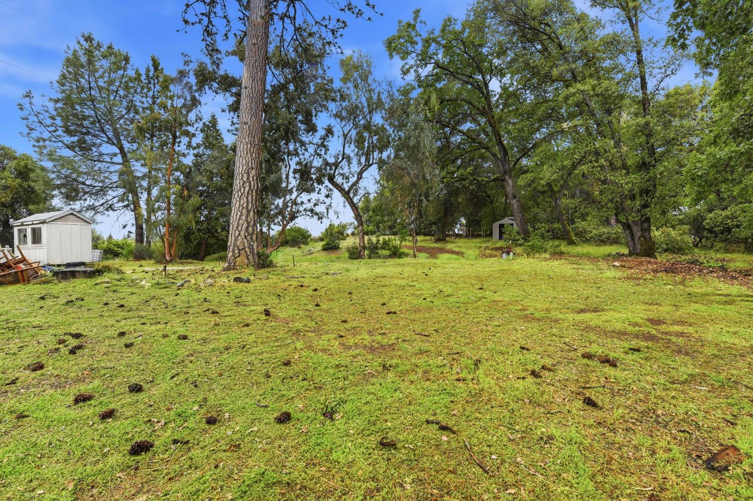 1950 Bear Rock Road Placerville, CA 95667 - Photo 49 of 50