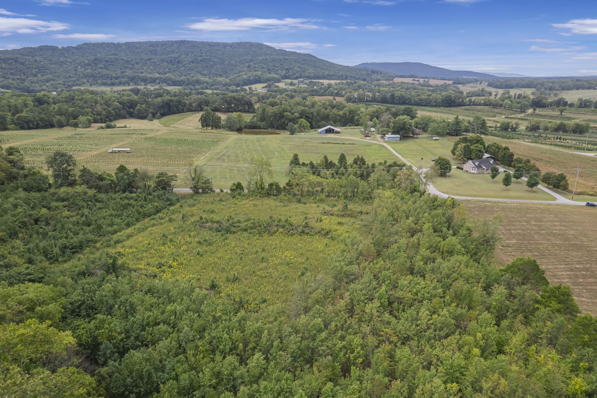 0 Goodson Road McMinnville, TN 37110 - Photo 12 of 12 Gallery Image 12