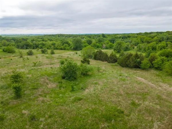 a view of a green yard with large trees