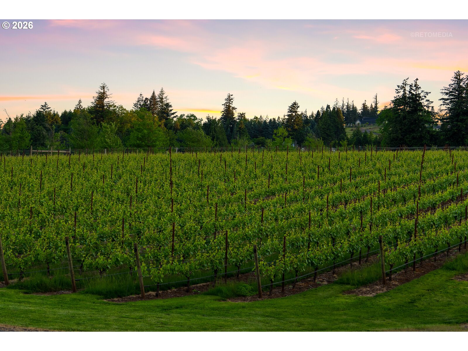 30460 Northeast Bell Road Newberg, OR 97132 - Photo 41 of 48 a view of a yard with a tree