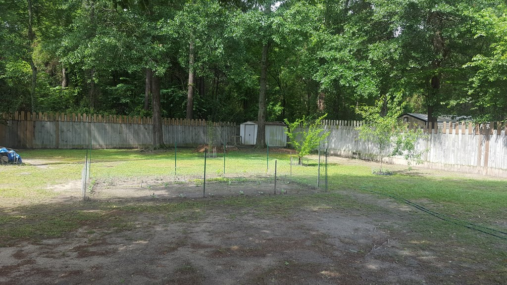 2775 Davis Mill Road Hephzibah, GA 30815 - Photo 3 of 4