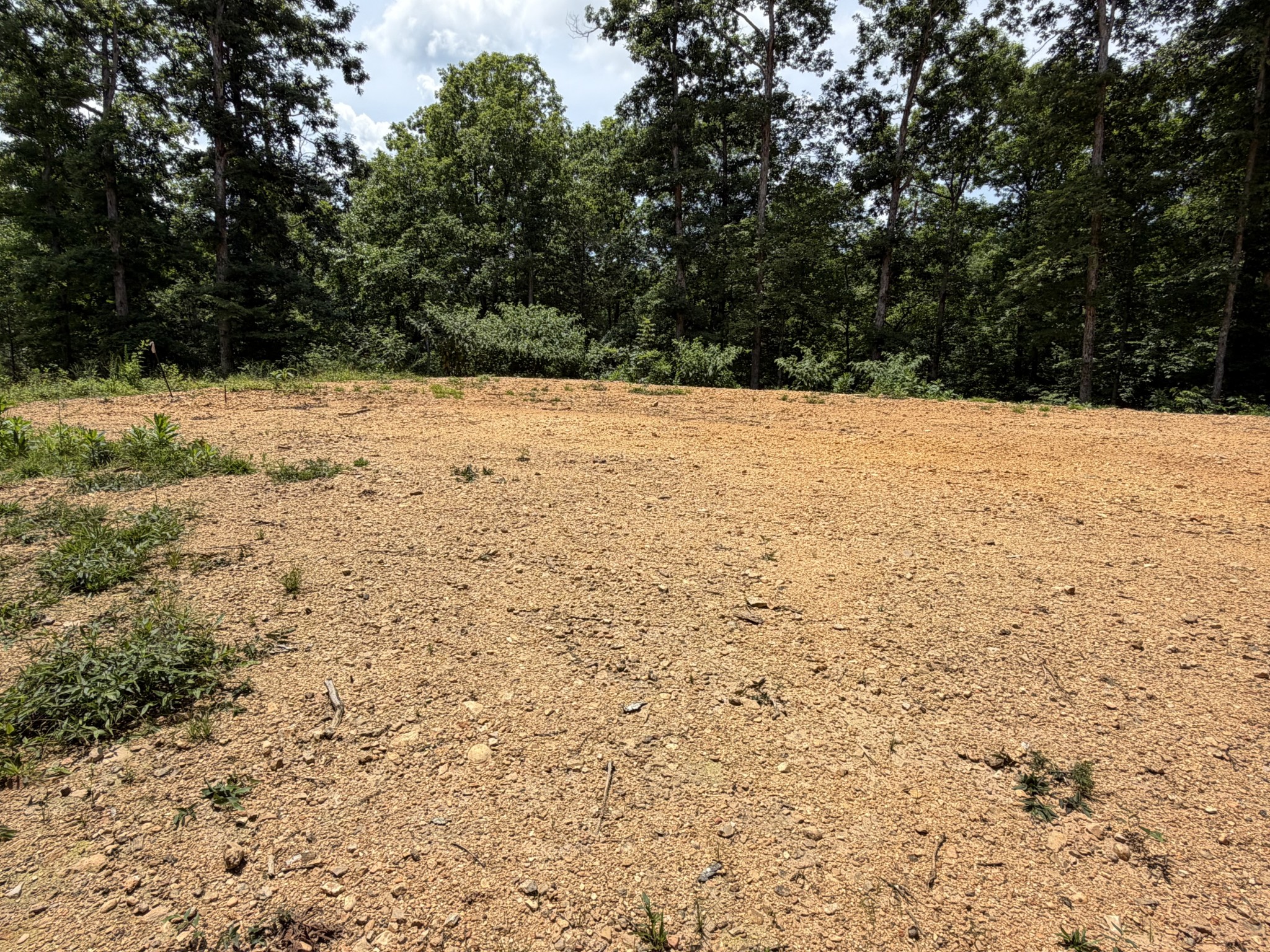 232 Cane Creek Road Hohenwald, TN 38462 - Photo 84 of 91