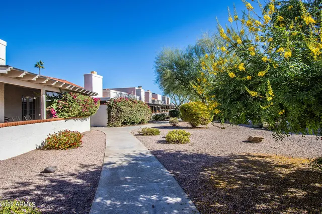 a view of a yard with plants and trees
