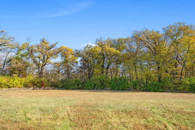 a view of large yard with large trees