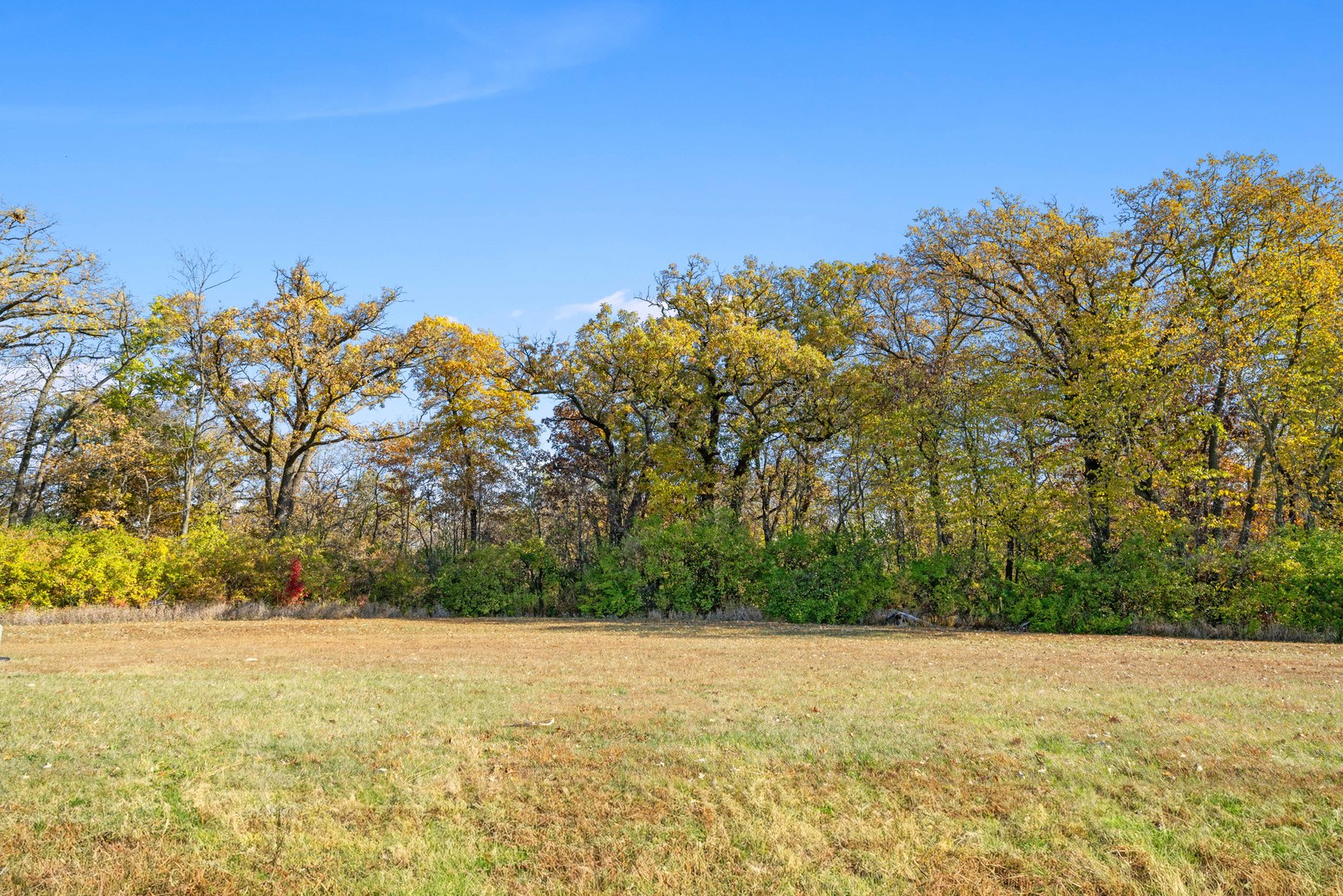 2970 East 1489th Road Ottawa, IL 61350 - Photo 15 of 16 a view of large yard with large trees