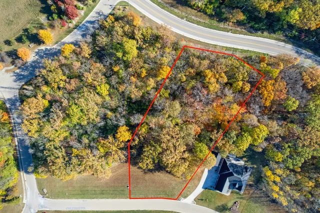 a view of a yard with a tree