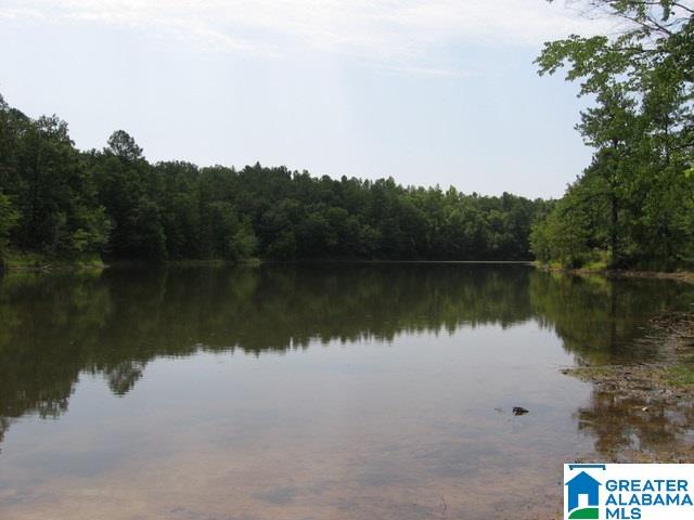 Paradise Lake Road, Unit 2 Vance, AL 35490 - Photo 1 of 10 Gallery Image 1