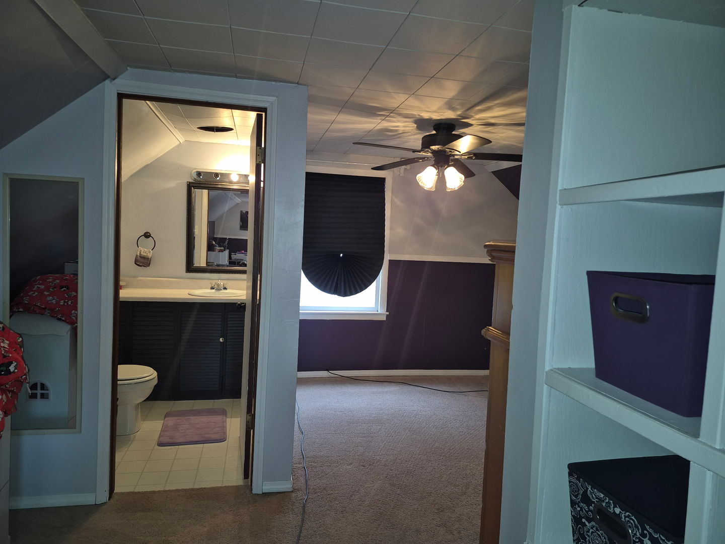 863 West Williams Street Kankakee, IL 60901 - Photo 12 of 14 a bathroom with a toilet sink and mirror