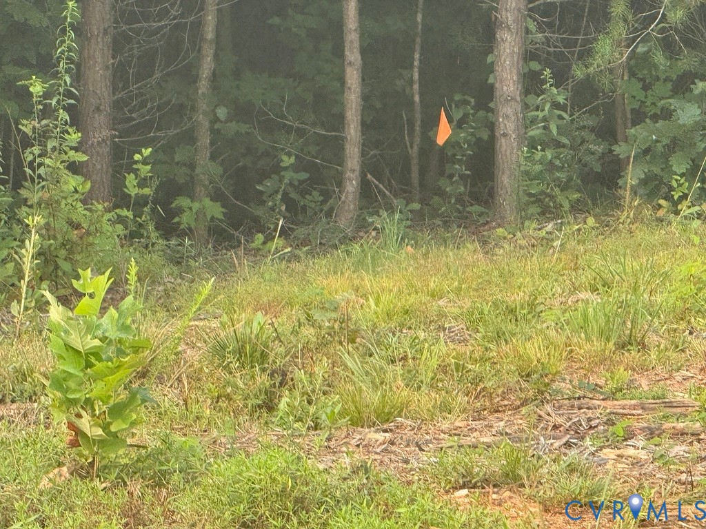 0 Liberty Chapel Road Appomattox, VA 24522 - Photo 13 of 57