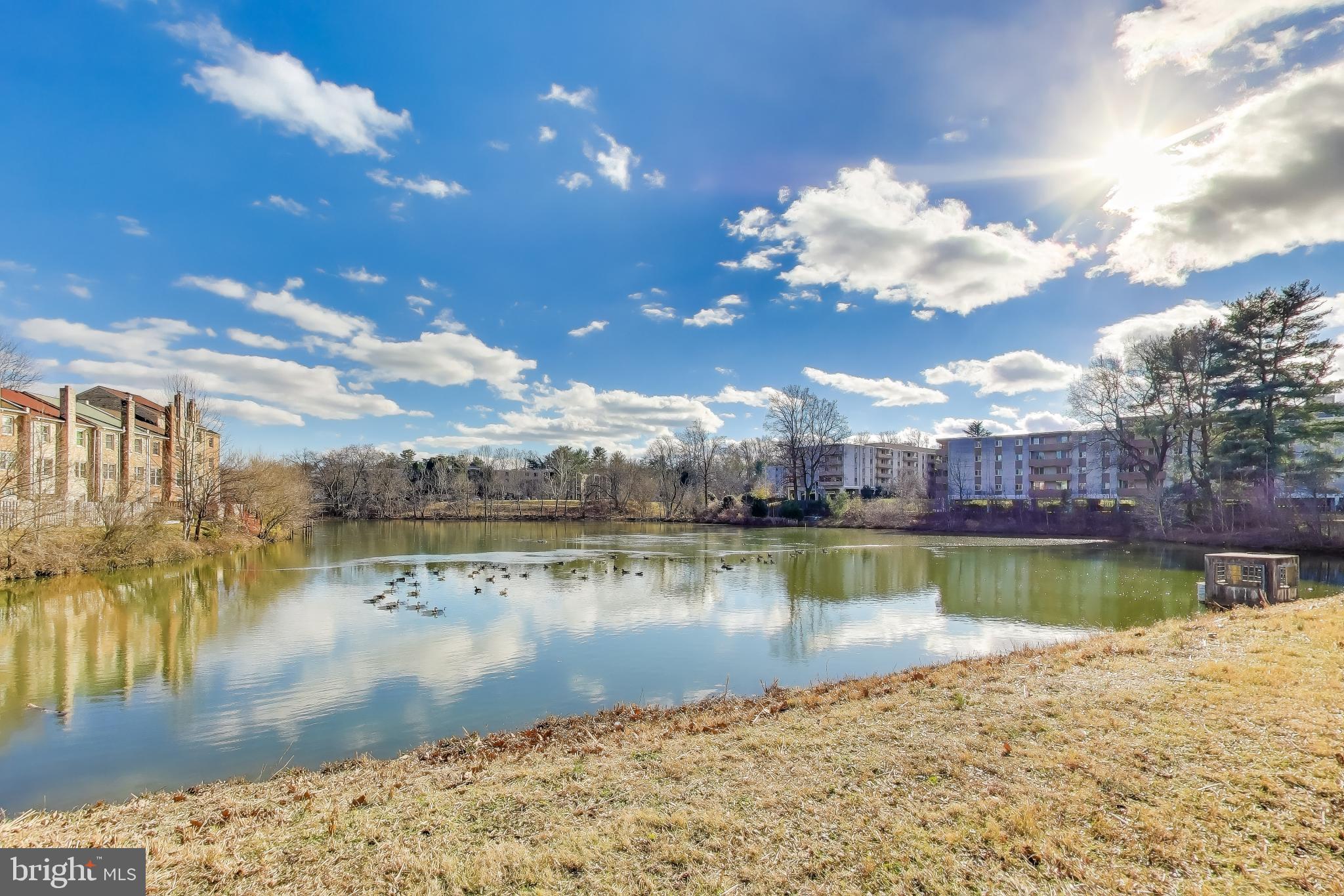 10408 Parthenon Court, Unit 10408 Bethesda, MD 20817 - Photo 7 of 34 a view of a lake view