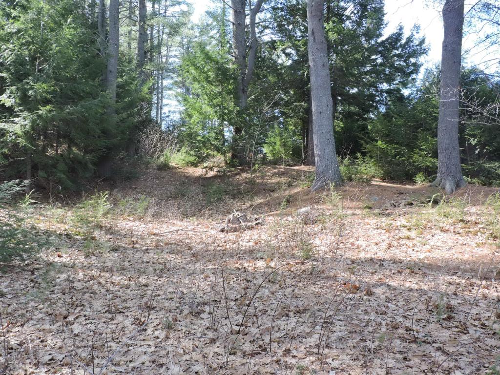 154 Branch Road Weare, NH 03281 - Photo 11 of 35