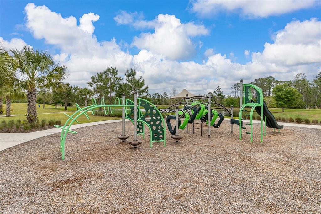 17023 Goldcrest Loop Clermont, FL 34714 - Photo 88 of 89