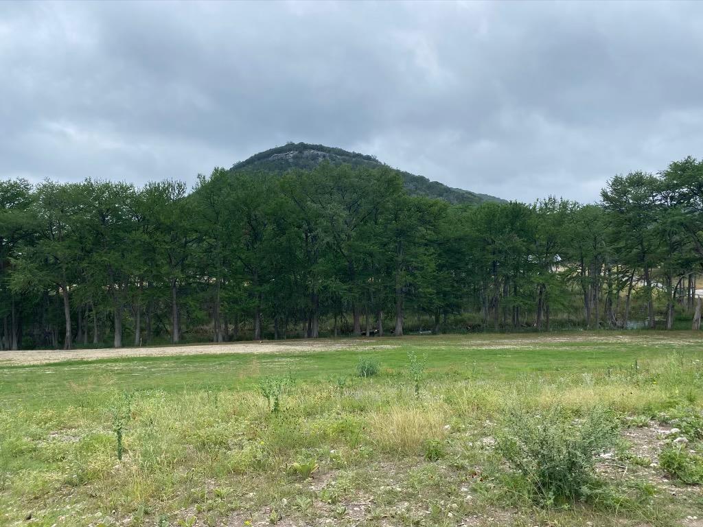 a view of a grassy field