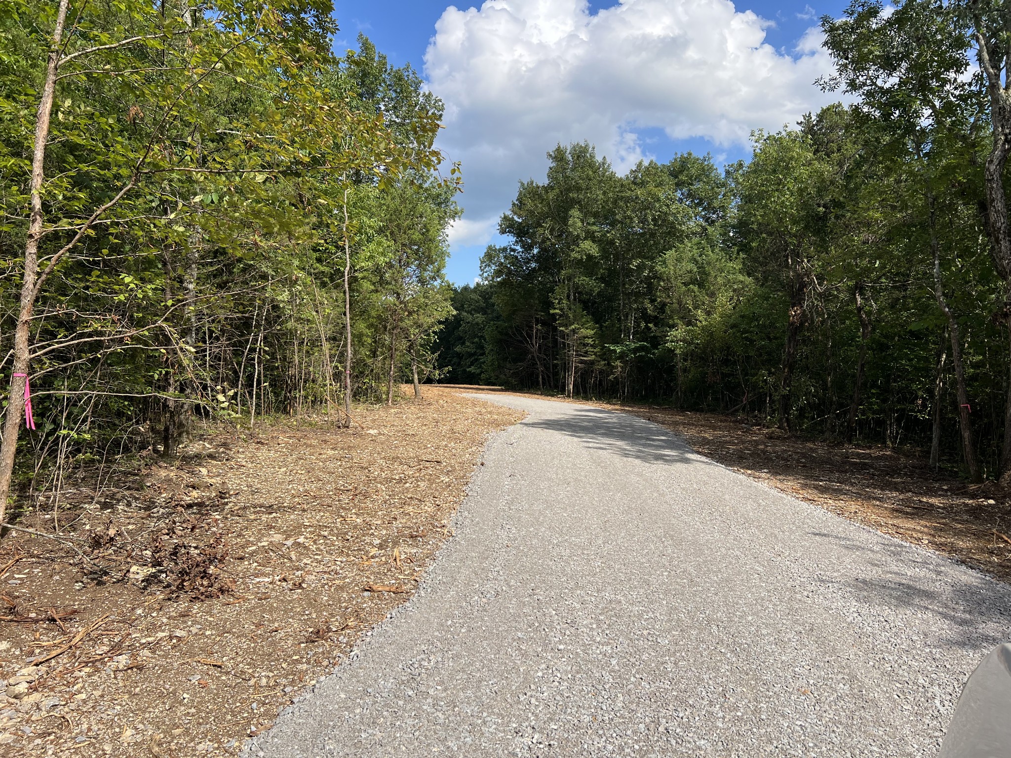 2545 Bob Cheek Road Lewisburg, TN 37091 - Photo 3 of 8 a view of backyard with green space