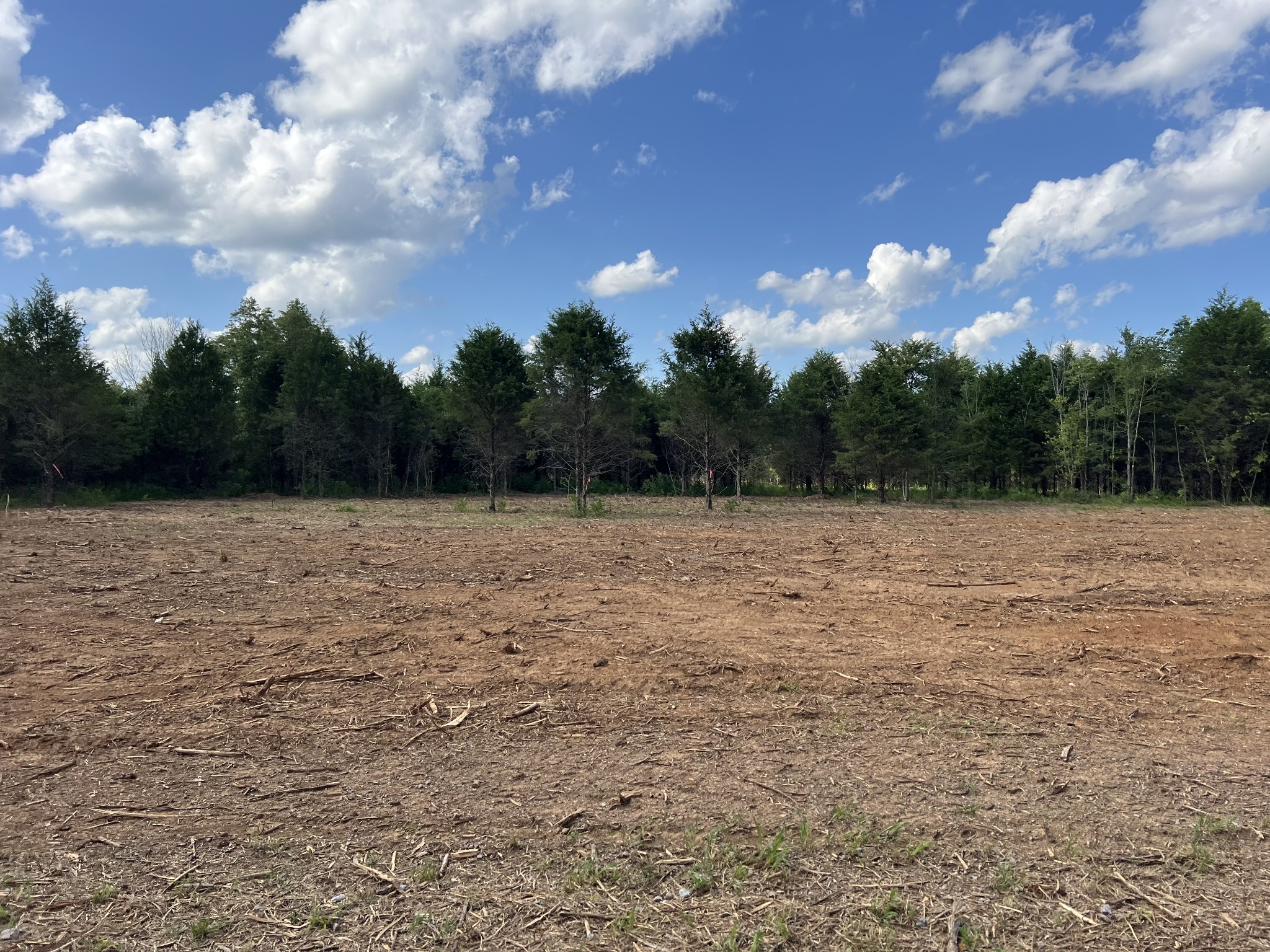 2545 Bob Cheek Road Lewisburg, TN 37091 - Photo 5 of 8 a view of a lake view