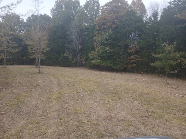 a view of empty room with trees