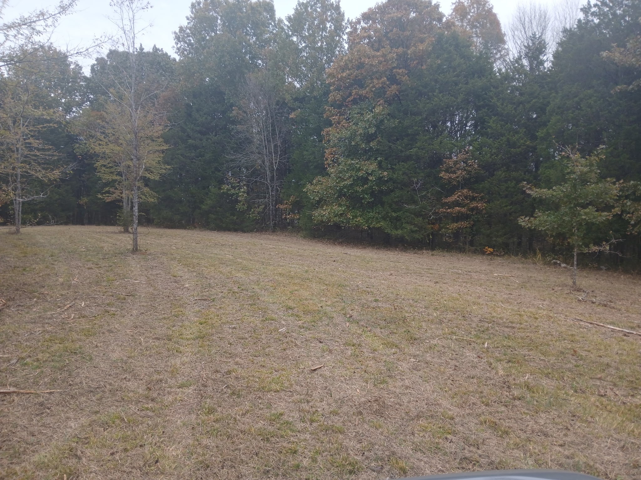 2545 Bob Cheek Road Lewisburg, TN 37091 - Photo 6 of 8 a view of empty room with trees