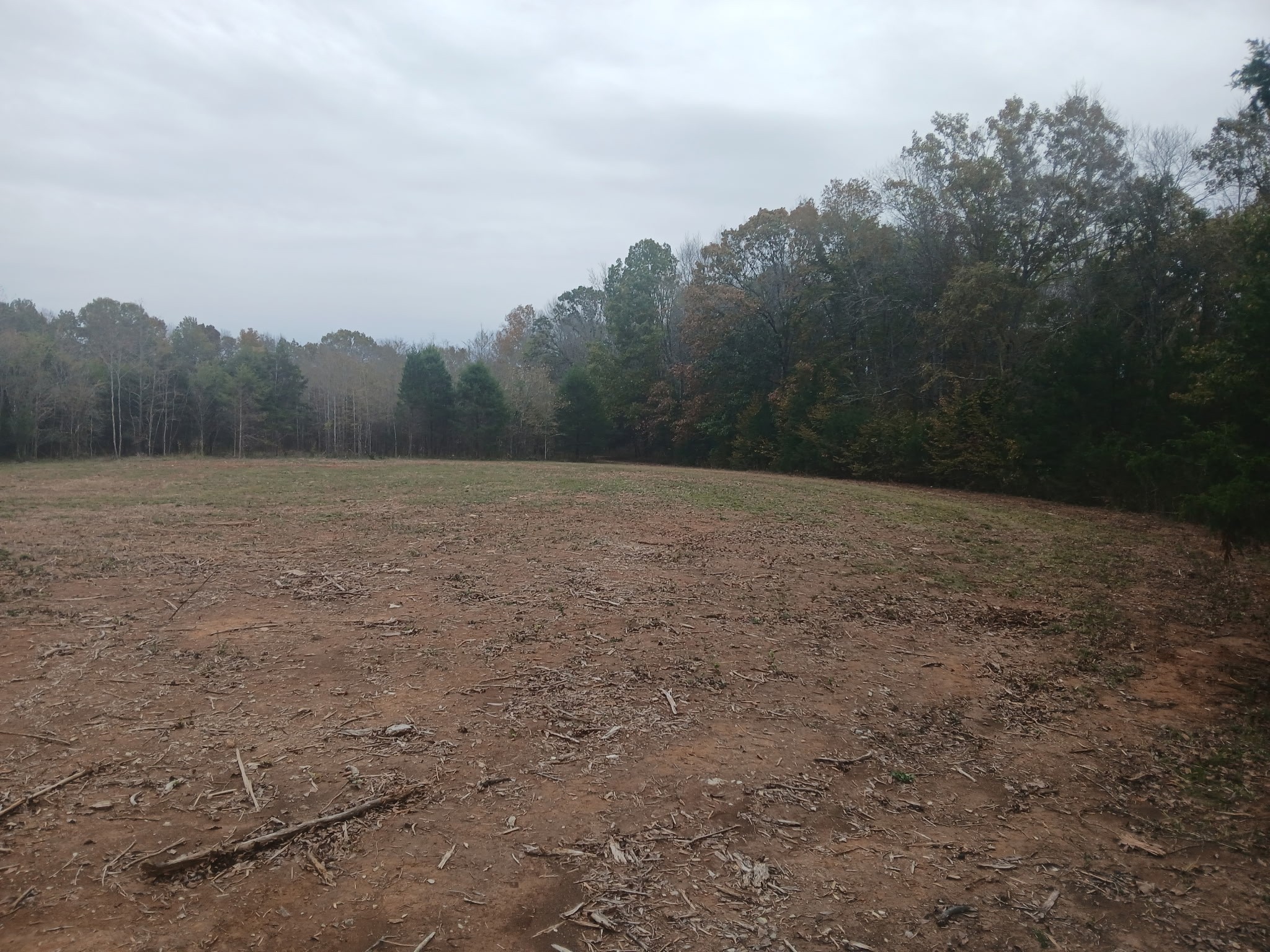 2545 Bob Cheek Road Lewisburg, TN 37091 - Photo 7 of 8 a view of an outdoor space and a yard