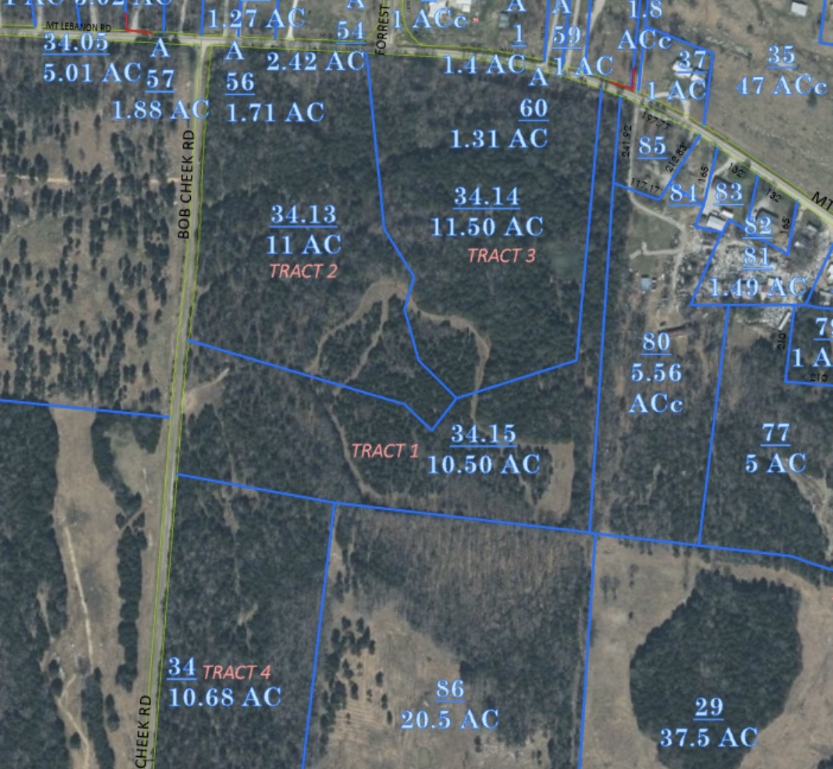 2545 Bob Cheek Road Lewisburg, TN 37091 - Photo 8 of 8 a city view