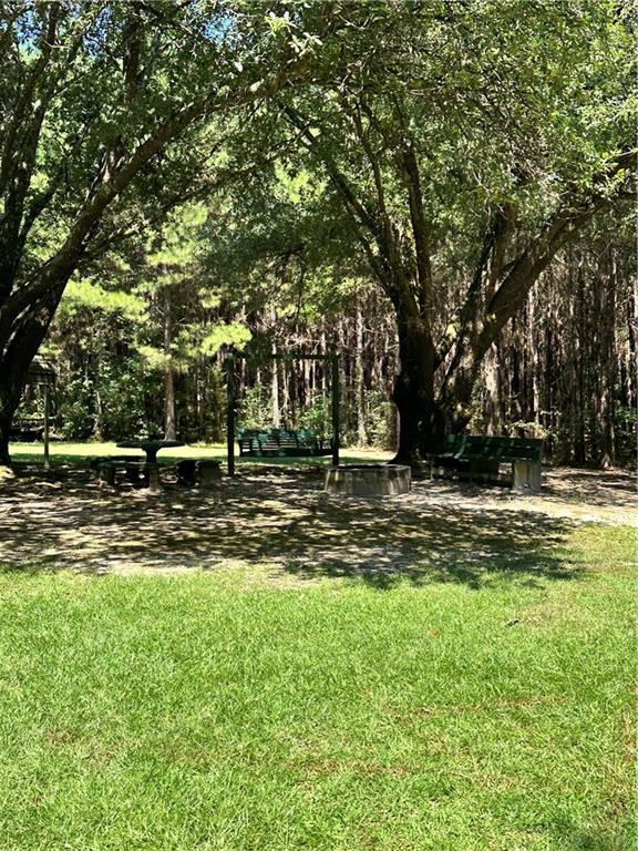 156 Herman Cloud Road Goldonna, LA 71031 - Photo 8 of 31