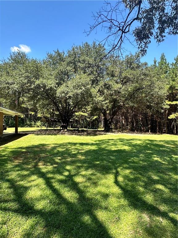 156 Herman Cloud Road Goldonna, LA 71031 - Photo 9 of 31