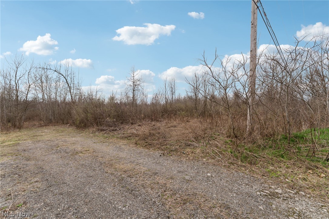 Center Road Lowellville, OH 44436 - Photo 4 of 28