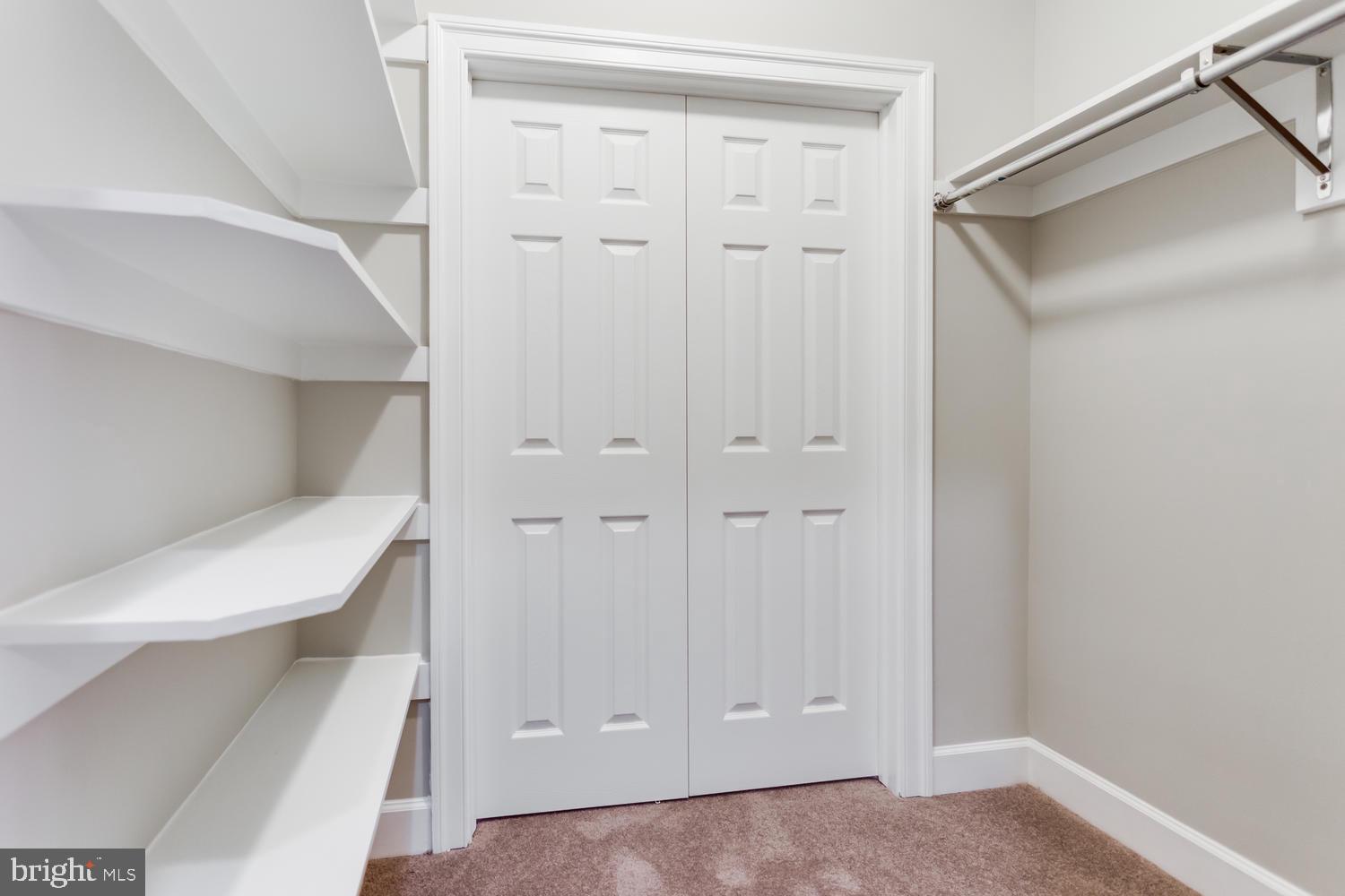 8012 Bainbridge Road Alexandria, VA 22308 - Photo 37 of 45 Lower level walk in closet