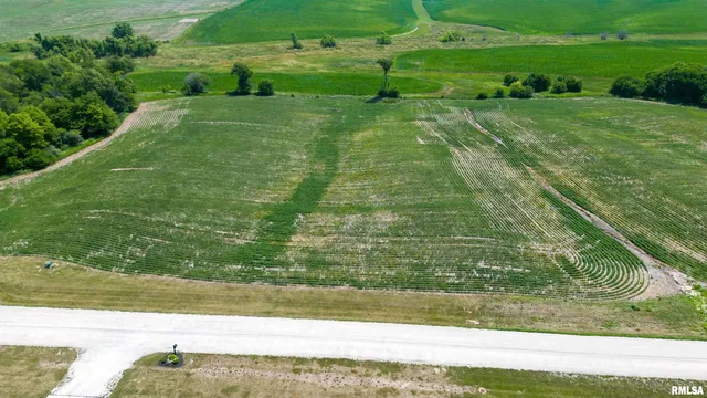 $36,942 | 2659 Olof Krans Avenue, Galva, IL 61434