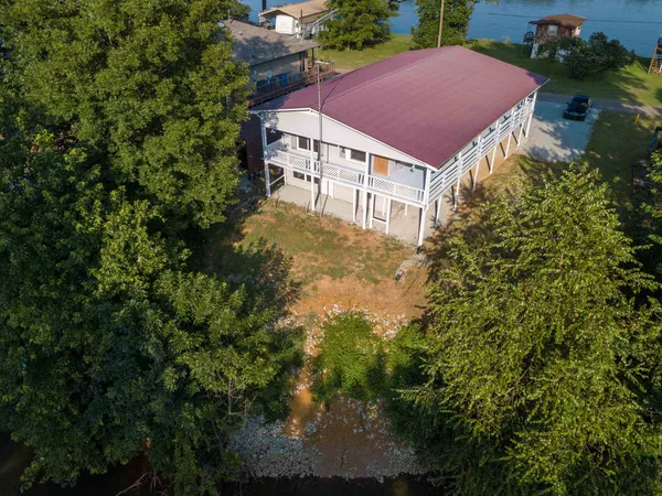a view of a house with a yard plants and large tree