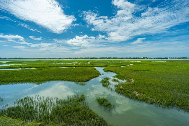 $638,500 | 242 Little Oak Island Drive, Folly Beach, SC 29439