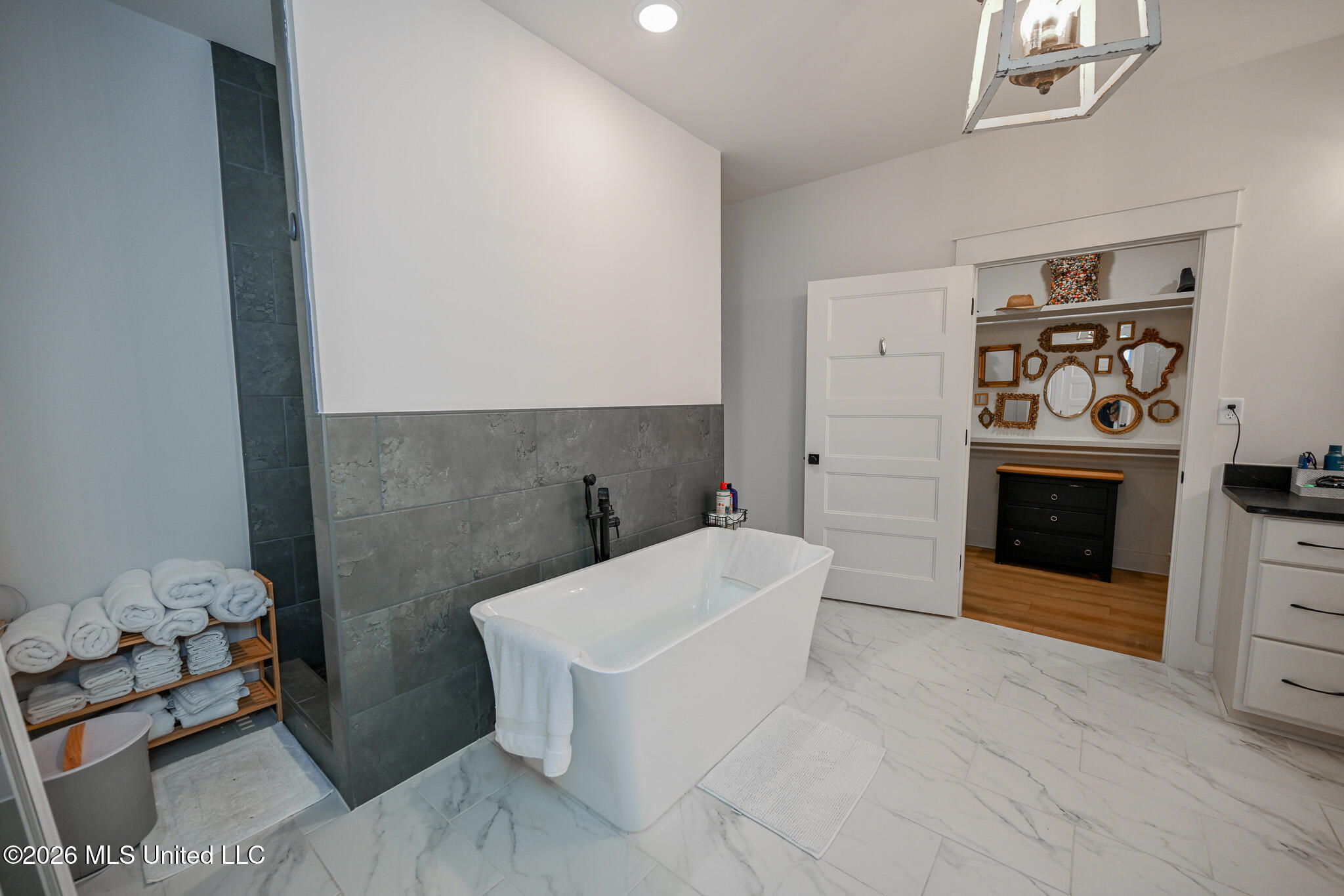 190 Vinson Road Hernando, MS 38632 - Photo 36 of 62 walk through shower sep tub