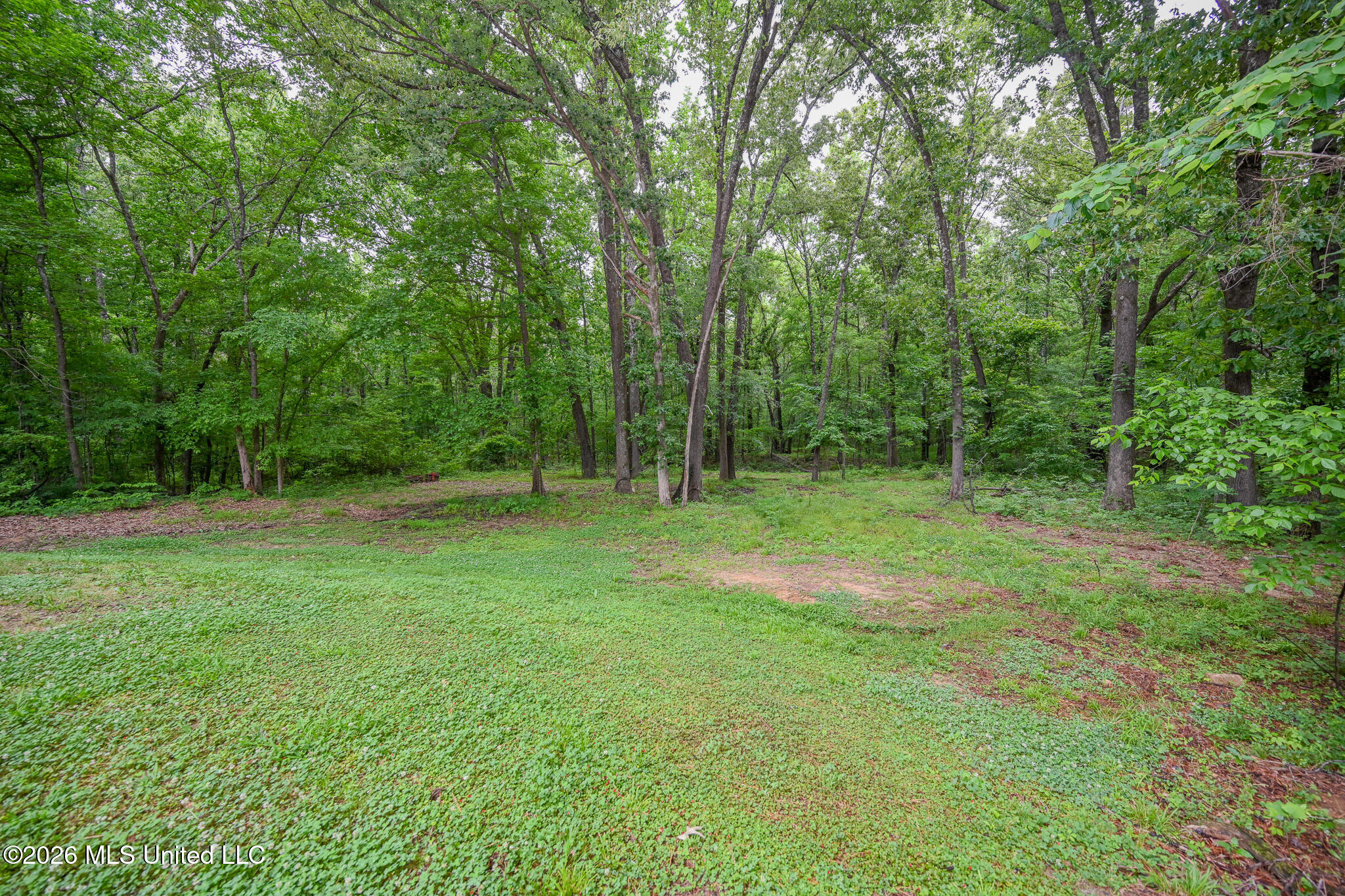 190 Vinson Road Hernando, MS 38632 - Photo 59 of 62 back yard