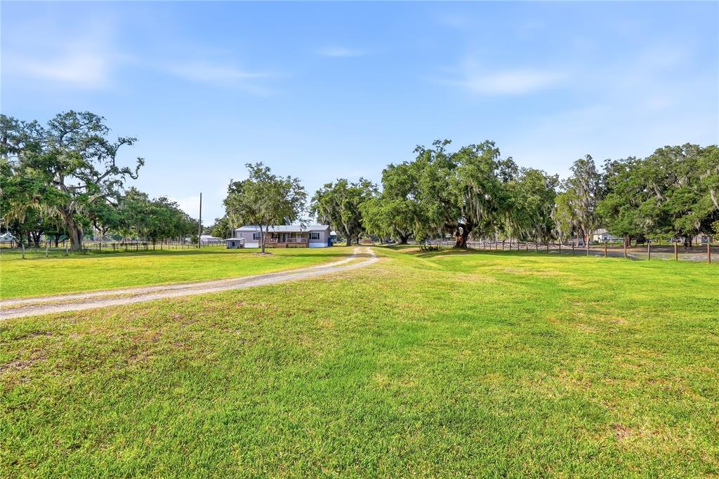 3416 Porter Road Lithia, FL 33547 - Photo 33 of 47