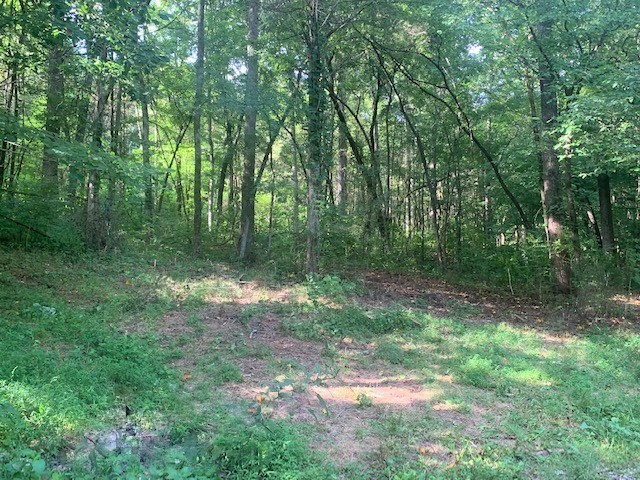 1102 Dog Tail Road Lynchburg, TN 37352 - Photo 50 of 70 Gallery Image 50